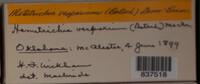 Image Associated With the Occurence